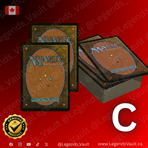 Starter Collection Bundle