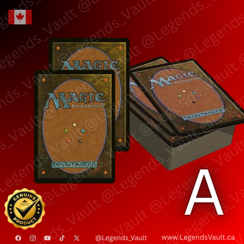 Starter Collection Bundle